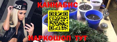 дурь Гай