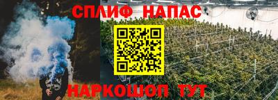 дурь Гай