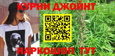 твердый Гатчина