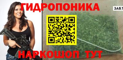 твердый Гатчина