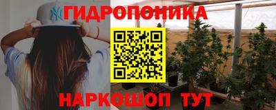 твердый Гатчина