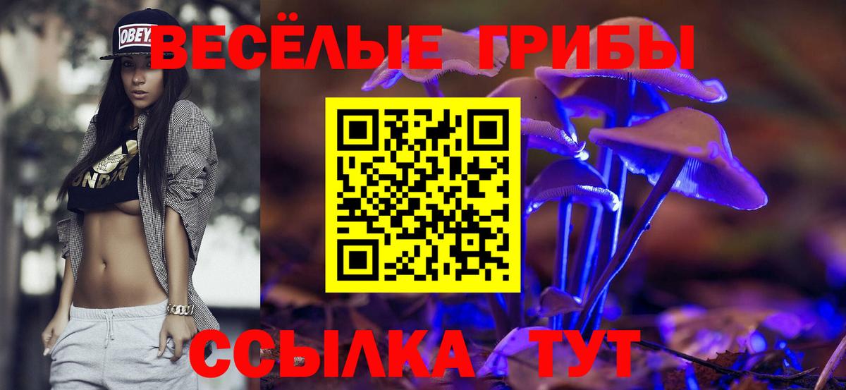 Галлюциногенные грибы мицелий  продажа наркотиков  Семёнов  Вход с VPN 